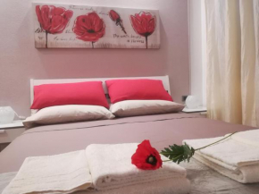 B&B Polline & Conchiglie